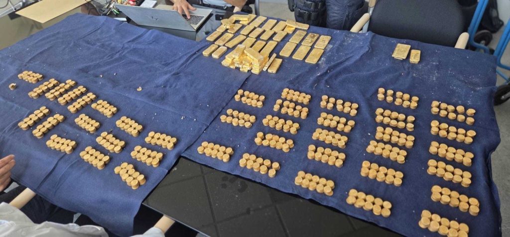 Le trésor de Termonde inventorié : lingots d'or numérotés empilés et rangées de pièces d'or anciennes sur une table