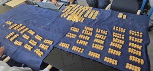 Le trésor de Termonde inventorié : lingots d'or numérotés empilés et rangées de pièces d'or anciennes sur une table