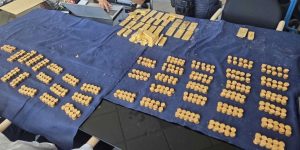 Le trésor de Termonde inventorié : lingots d'or numérotés empilés et rangées de pièces d'or anciennes sur une table